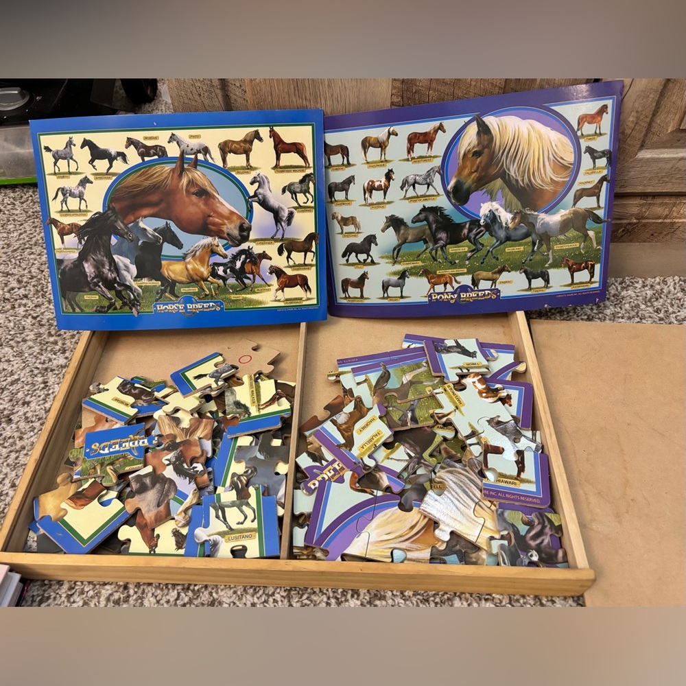 T.S Shure Puzbox Horse & Pony Breeds Jumbo Puzzles With Wooden Case